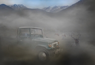 Elk Basin - Poster