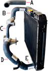 Hoses ~ Radiator