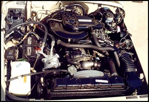 Motor
