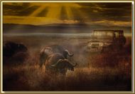 Old and Tough - Poster