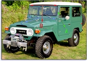 Windshield Seals