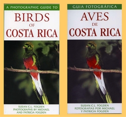 Birds of Costa Rica