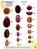 Catalog - Exotic Wood Beads
