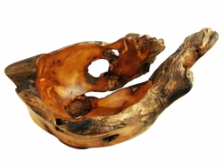 Costa Rica Exotic Blackwood Root