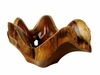 Costa Rica Exotic Blackwood Shell