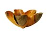 Costa Rica Exotic Fustic Flower Bowl