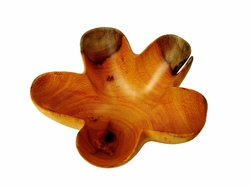 Costa Rica Exotic Fustic Flower Bowl
