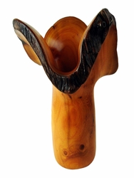 Costa Rica Exotic Fustic Orchid Vase