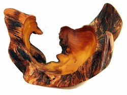 Costa Rica Exotic Fustic Root