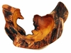 Costa Rica Exotic Fustic Root