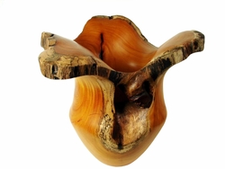 Costa Rica Exotic Fustic Vase