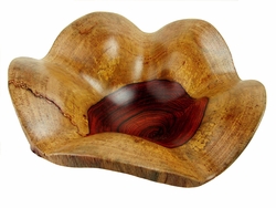 Costa Rica Exotic Large Rosewood Shell