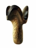 Costa Rica Exotic Palm Tree Orchid Vase
