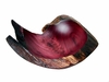 Costa Rica Exotic Purple Heart Root