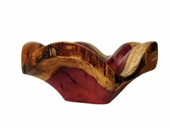 Costa Rica Exotic Purple Heart Shell