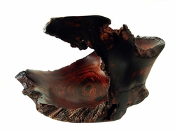 Costa Rica Exotic Rosewood Root