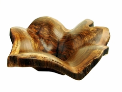 Costa Rica Exotic Teak Shell