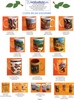 Costa Rica Mugs, Tequila and Shot Glass Costa Rica Mugs, Tequila and Shot Glass