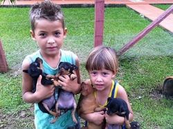 DONATE NOW - A Meal for My Country