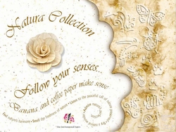 NATURA COLLECTION