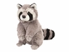 Raccoon 12" Plush