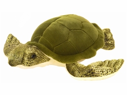 Green Sea Turtle 12" Plush