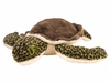 Green Sea Turtle 12" Plush