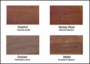 Wood Colors - Exhibit C