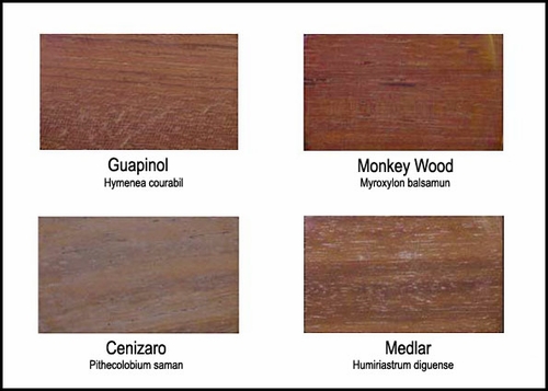 Wood Colors - Exhibit C