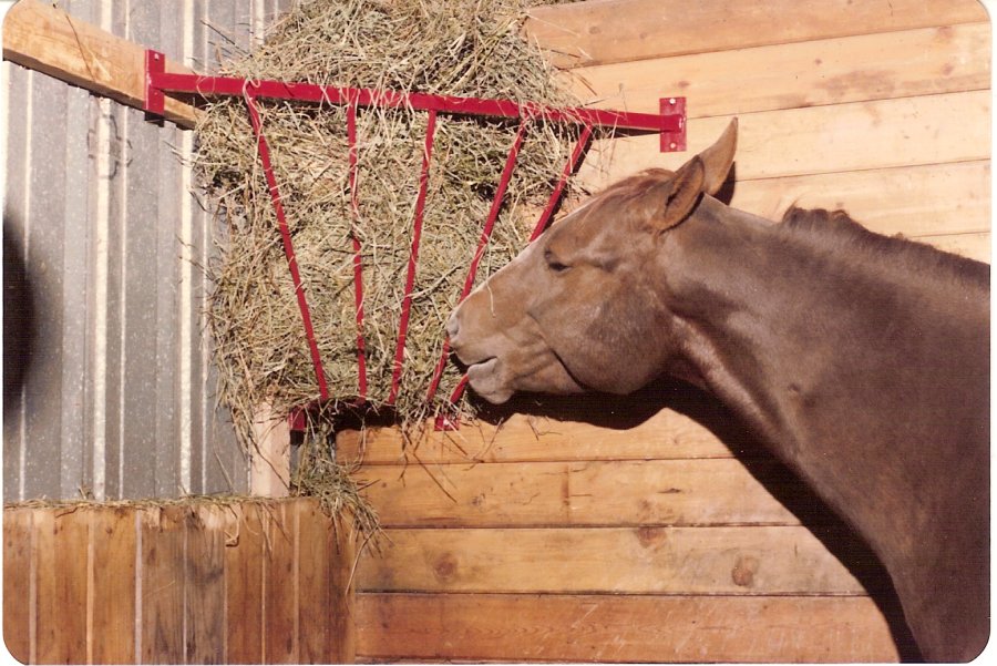 Corner Hay Rack