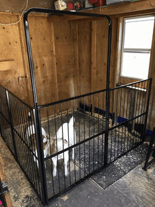 Goat and Sheep Pens
