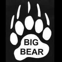Big Bear  Vinyl Window Decal / Stickers Free Shipping 