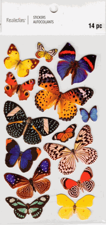 Click to enlarge