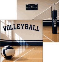 Volleyball, DS scrapbook paper (Scrapbook Customs)