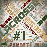 Lacrosse Extreme, sports scrapbook paper (Scrapbook Customs)