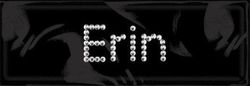 Rhinestone Name Stickers,  Erin, scrapbook (Me & My Big Ideas)<br><font color=red>50% off</font>