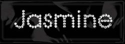 Rhinestone Name Stickers, Jasmine, scrapbook (Me & My Big Ideas)<br><font color=red>50% off</font>