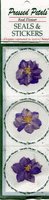 Pressed Petals, real flowers, Seals & Stickers,  Purple Flowers<br><font color=red>50% off</font>