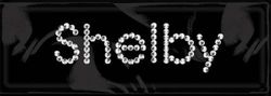 Rhinestone Name Stickers, Shelby, scrapbook (Me & My Big Ideas)<br><font color=red>50% off</font>