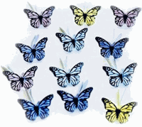Mini Butterflies, Scrapbook Brads, 12/pk (Eyelet Outlet)