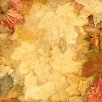 Vintage Leaves, fall, autumn scrapbook paper (Stamping Station)