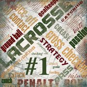 Lacrosse Extreme, sports scrapbook paper (Scrapbook Customs)