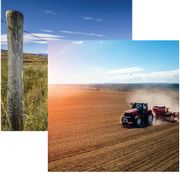 In the Field Collection, Field Work, farm double-sided, scrapbook paper (Reminisce)<br><font color=red>25% off</font>