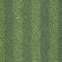 Sports Collection, Football Field, scrapbook paper (Kaisercraft)<br><font color=red>25% off</font>