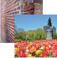 New England Collection, Boston Public Gardens, double-sided scrapbook paper (Reminisce)