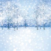 Blue Christmas Collection, White Christmas, scrapbook cardstock (Ella & Viv)