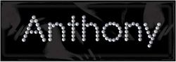 Brad Name Stickers, Anthony,  scrapbook (Me & My Big Ideas)<br><font color=red>50% off</font>