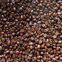Coffee Beans, food scrapbook paper (McRice Photo Papers)