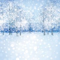 Blue Christmas Collection, White Christmas, scrapbook cardstock (Ella & Viv)