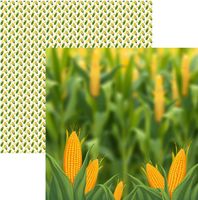 Locally Grown Corn, food & farm, double-sided scrapbook paper (Scrapbook Customs)